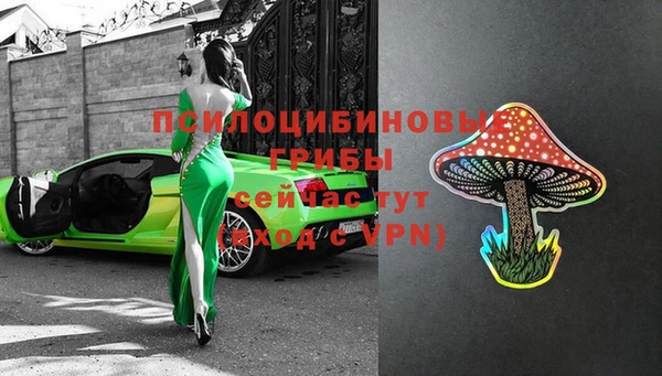тгк Кулебаки