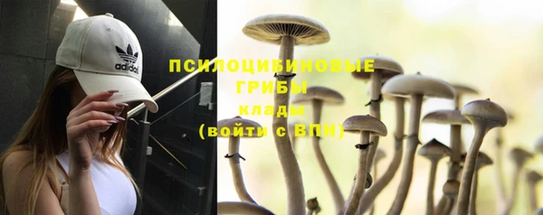 дурь Кукмор