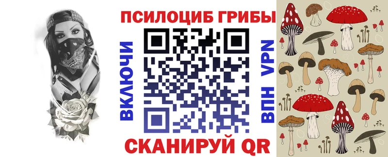 цена Щёлково блэк спрут онион Галлюциногенные грибы прущие грибы